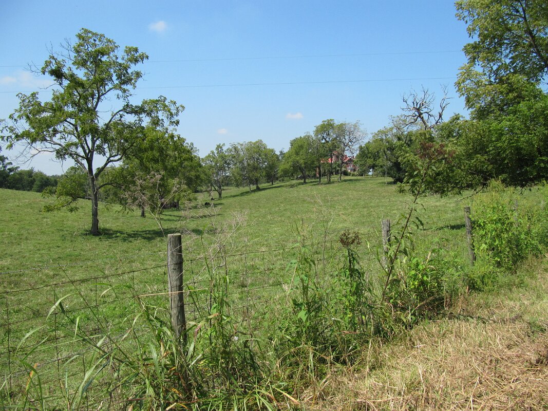 mount_pleasant_jilson_payne_home_04