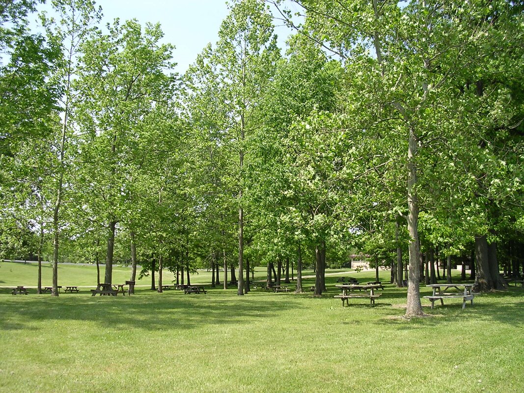Picnic Area