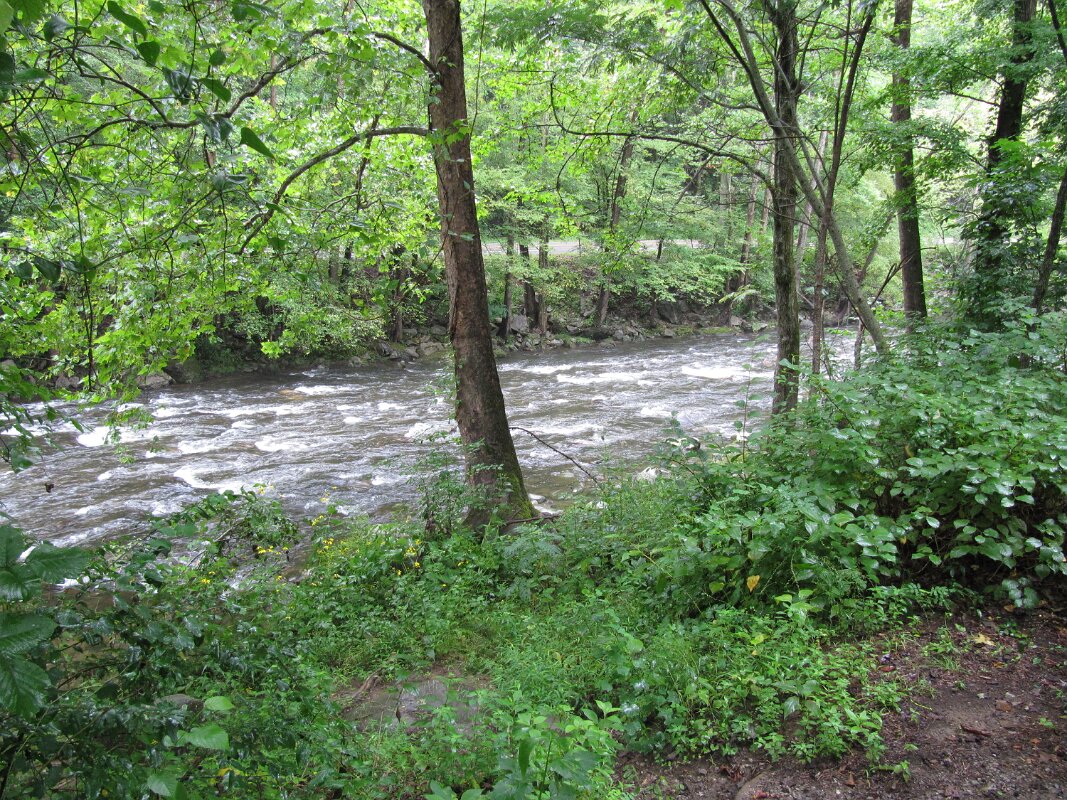 tremont_resort_site_038_03