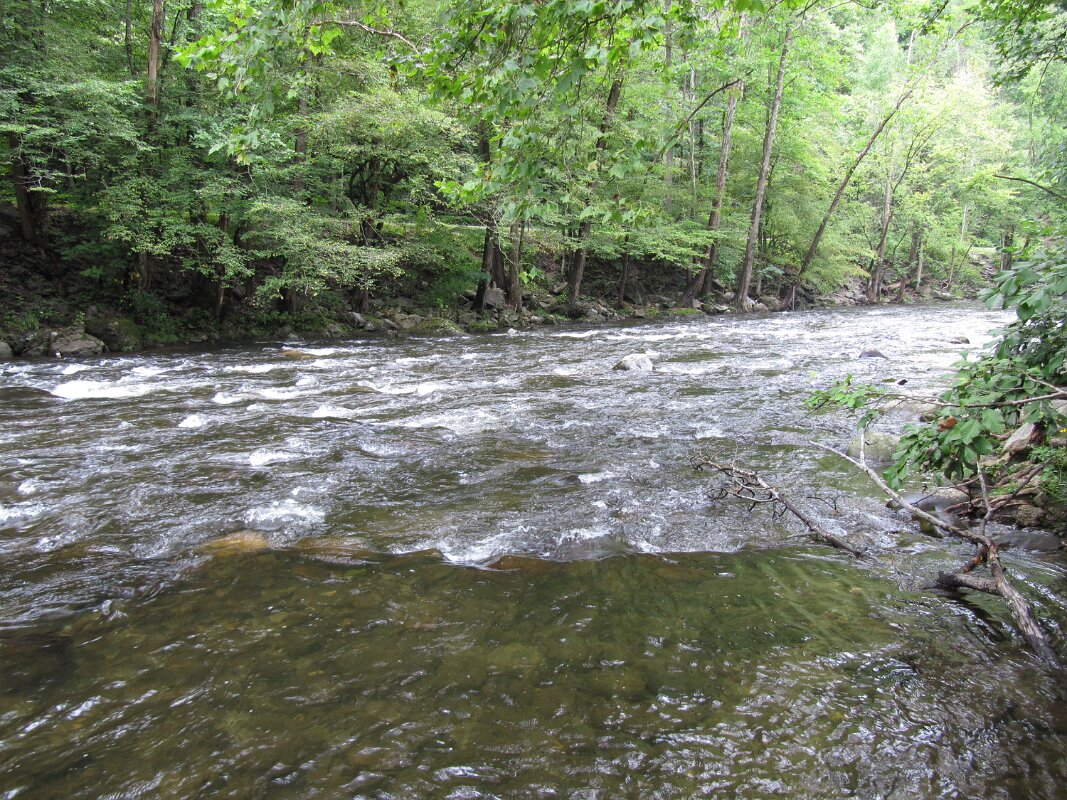 tremont_resort_site_038_09